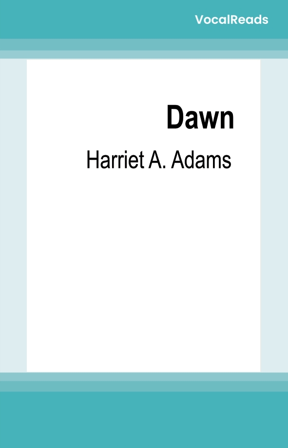 Dawn