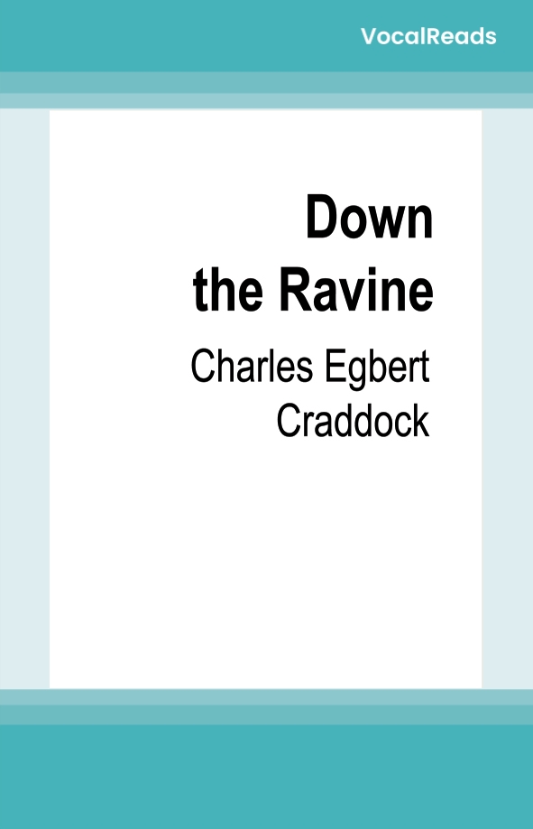 Down the Ravine