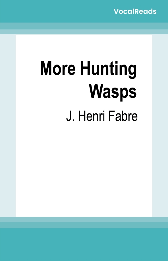 More Hunting Wasps
