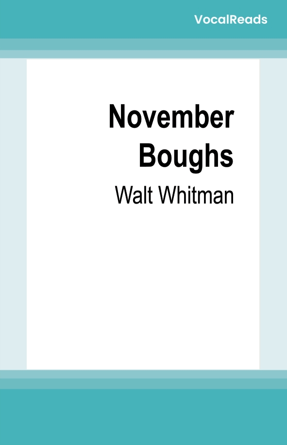 November Boughs