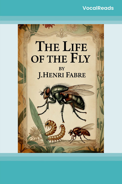 The Life of the Fly