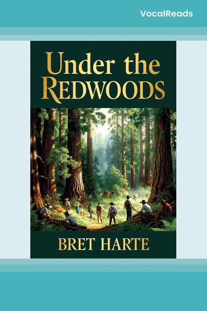 Under the Redwoods