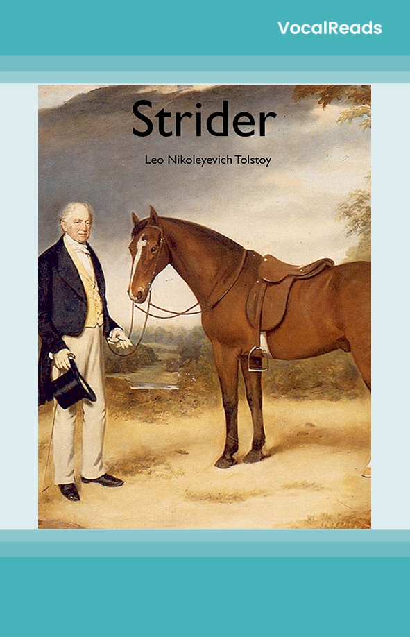 Strider: The Story of a Horse