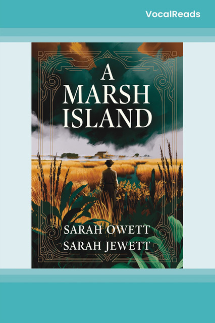 A Marsh Island