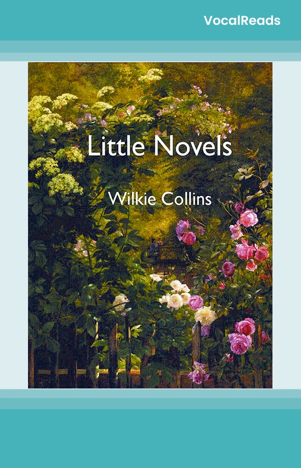 Little Novels