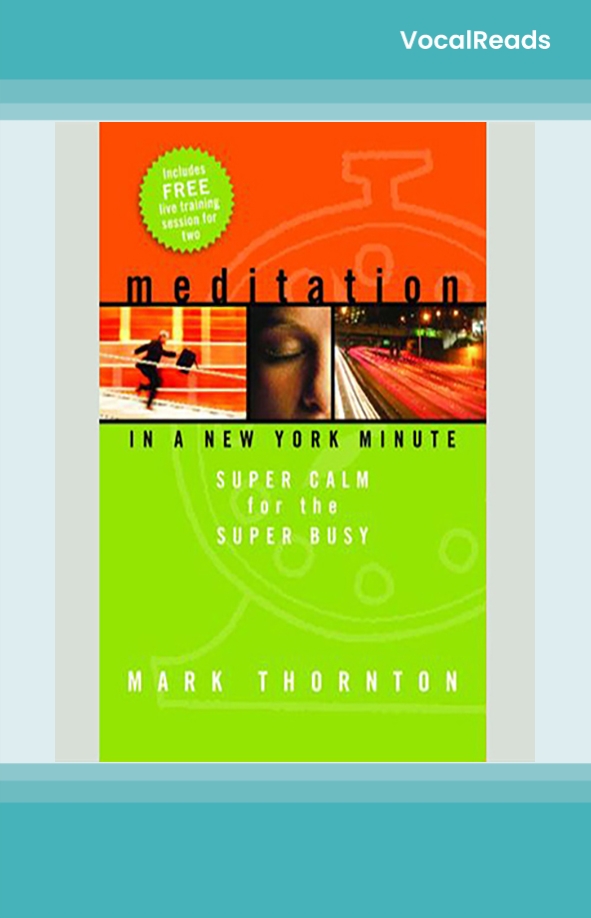 Meditation in a New York Minute