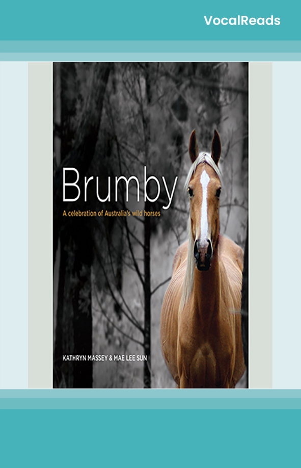 Brumby
