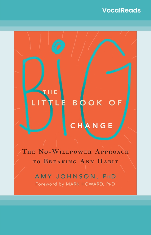 The Little Book of Big Change