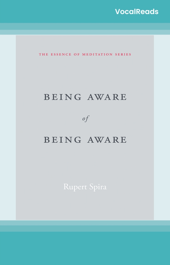 Being Aware of Being Aware