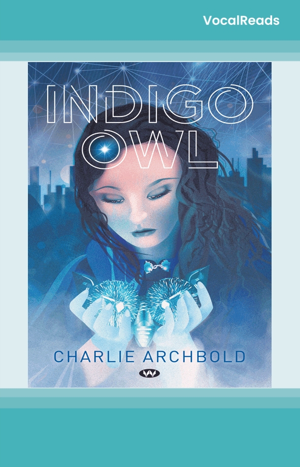 Indigo Owl