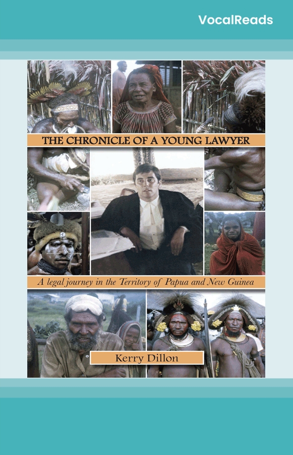 The Chronicle of a Young Lawyer