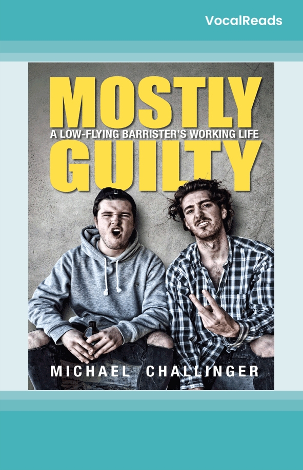 Mostly Guilty