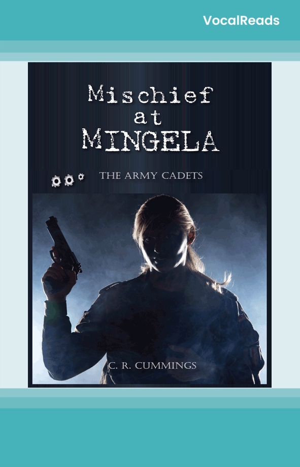 Mischeif at Mingela