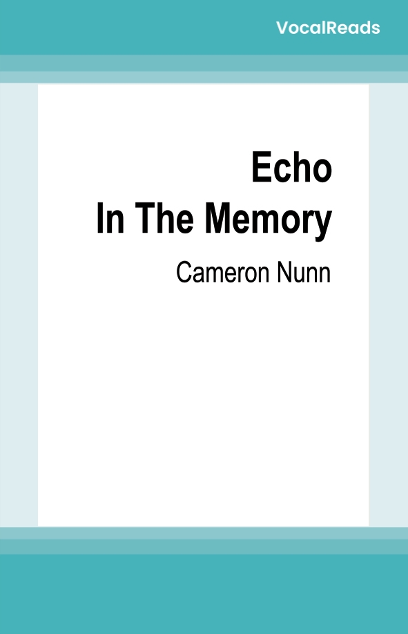 Echo in the Memory