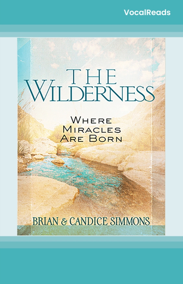 The Wilderness