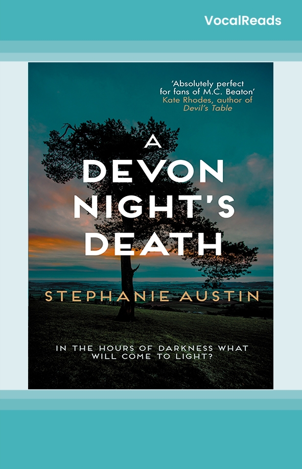 A Devon Night's Death